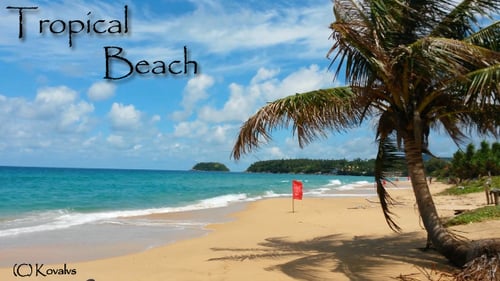 Tropical Beach