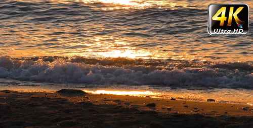 Seaside and Shiny Sunlight