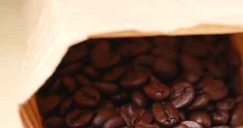 Roasted Coffee Beans Spilling from Paper Bag