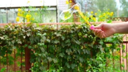 Colorful Bubbles Floating in the Summer Day