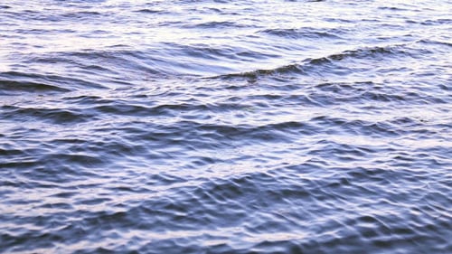 The Waves of the Sea