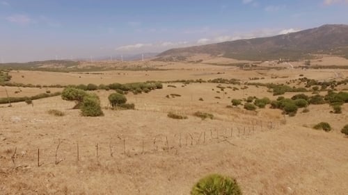 Aerial View From Flying Drone Over Dry Field