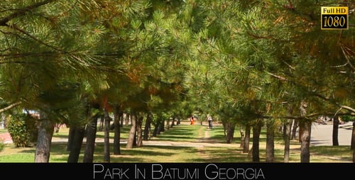 Park In Batumi