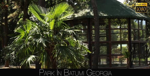 Park In Batumi 2