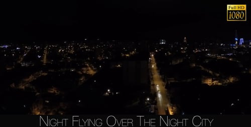 Night Flying Over The Night City 2