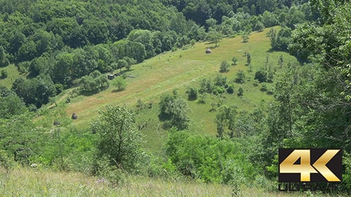 Forêts et prairies en été