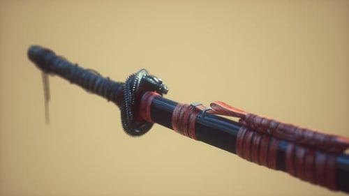 Asiatisches Katana mit Ornament Sward auf hellem Hintergrund