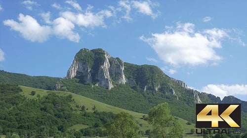 Mountain Landscape with Forest on a Sunny Day
