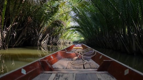 Tropical River Journey on a Wooden Boat