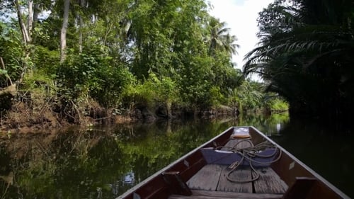 Boat Journey Through Tropical Jungle River