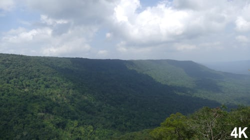 Bosque en la montaña
