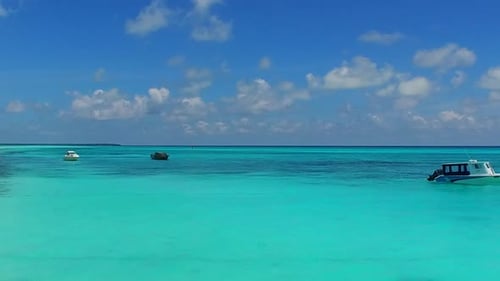 Nahaufnahme der Tierwelt am Strand am Meer mit Sandhintergrund in der Nähe von Wellen