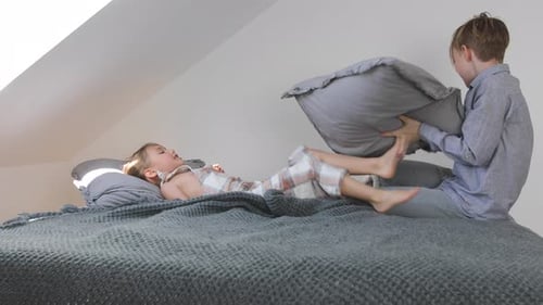 Boy and Girl Having a Pillow Fight with Dog