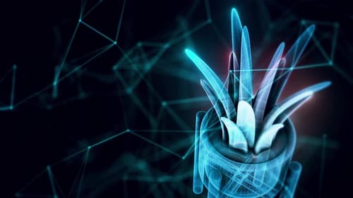 Plant With Tray Hologram Close Up 4k