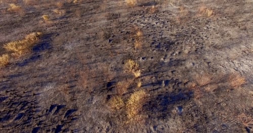 Aerial View. Flight Over Field After Fire
