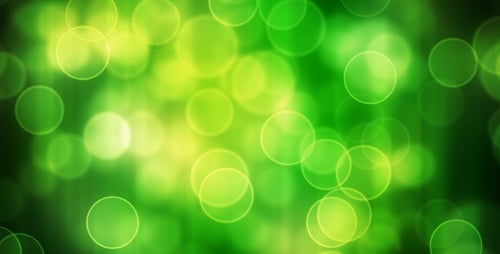 Spring Bokeh