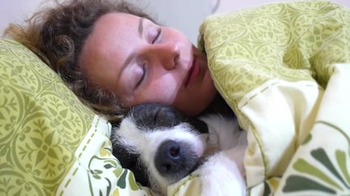 Young Girl With Dog While Laying On a Bed And