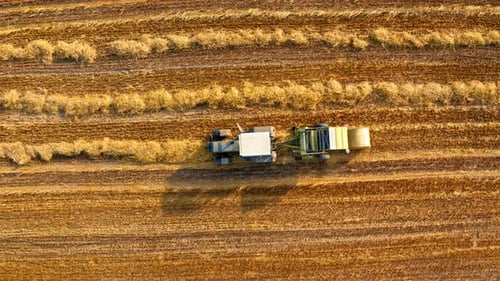 Machines for collecting and pressing hay in summer