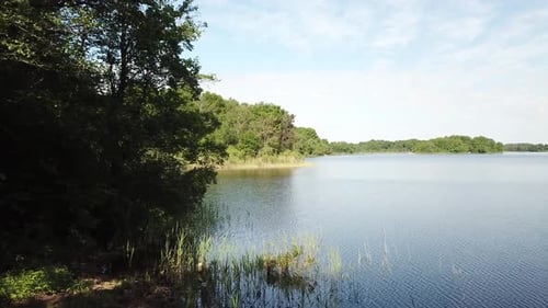 Lake Scene with Lush Green Trees and Calm Water