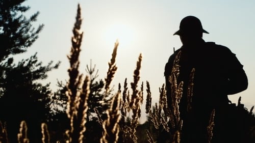 Camouflaged Soldier with Rifle in a Field at Sunrise