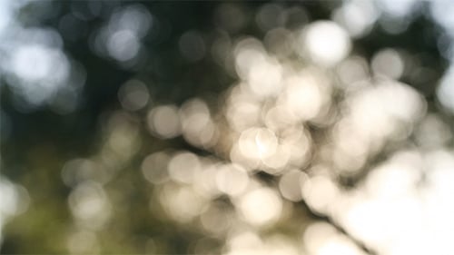 Hintergrund der Bewegung
