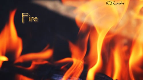Intense Flames Dancing in Close-up Detail