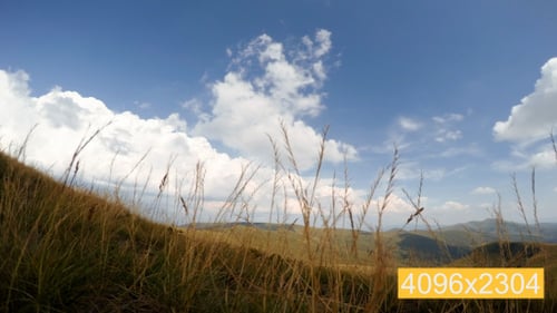 Mountain Grasslands with Blue Sky and Clouds