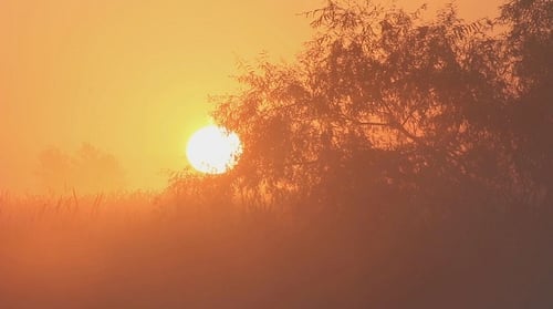 Morgen Sonne