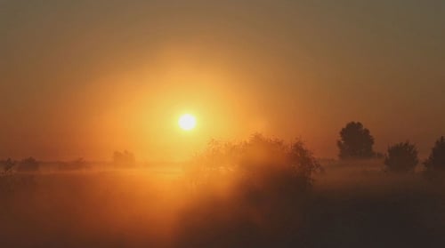 Morning Mist on the River 3
