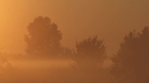 Morgennebel auf dem Fluss 4
