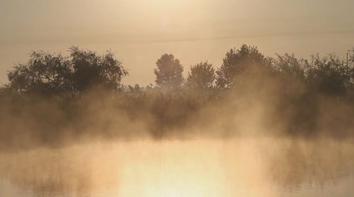 Morgennebel auf dem Fluss 5