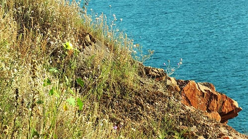 Rocky Cliffside With Grass Overlooking a Turquoise Sea