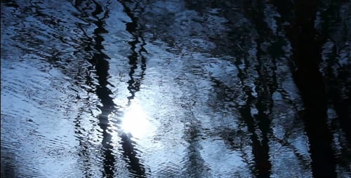 Glistening Sunlight on Calm Water with Tree Reflections