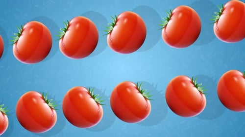 Seamless Looping Animation of Fresh Red Tomatoes on Blue Background