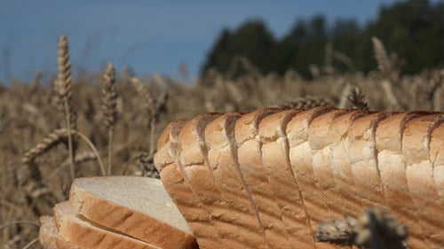 Loaf of Sliced Bread in a Wheat Field