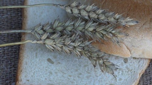 Wheat and Bread 9