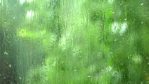 Rain Drops on Window with Blurred Green Background
