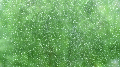 Rain Drops on Glass