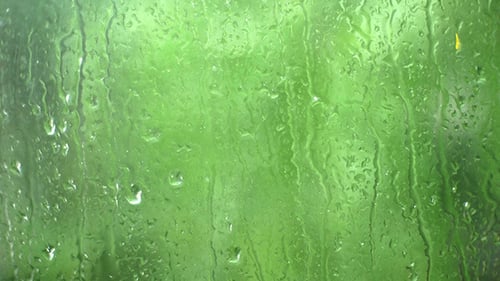 Raindrops Streaming Down a Window on a Green Day