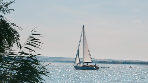 Segelyacht schwimmt auf dem Fluss