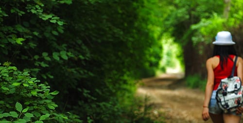 Woman Walks Along Green Forest Path