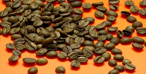 Unroasted Green Coffee Beans on Orange Surface