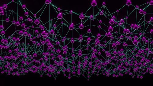 Rosa Plexus-Geometrie