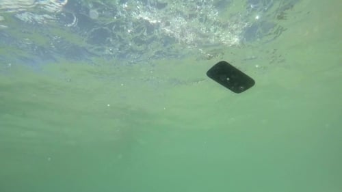 Tirar el teléfono celular al agua. Vacaciones, tecnología