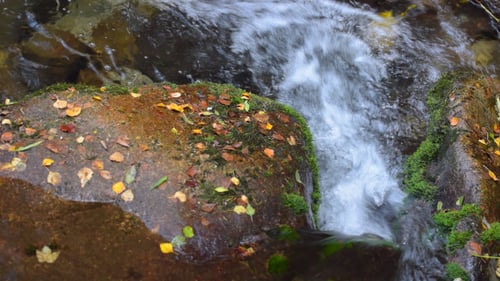 River