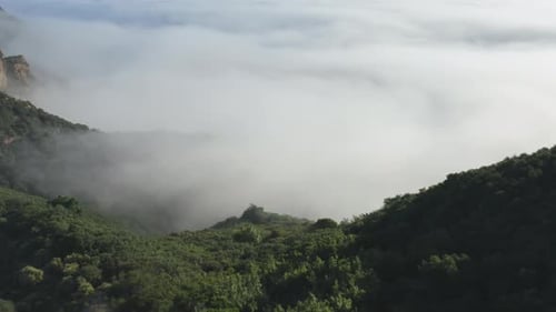 Mountain Peaks Emerging from Cloud Sea