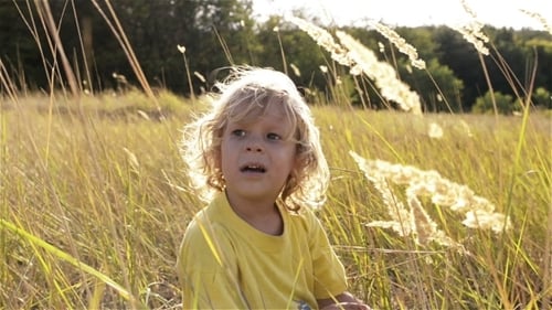 Child Playing with Grass in Rural Field