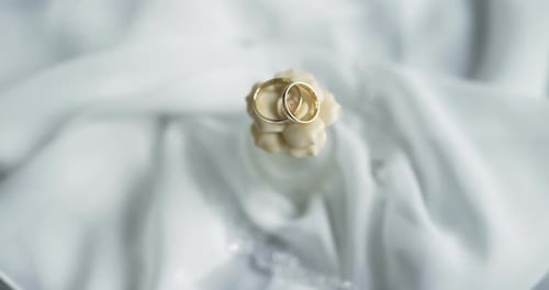 Gold Wedding Rings Intertwined on Decorative Surface