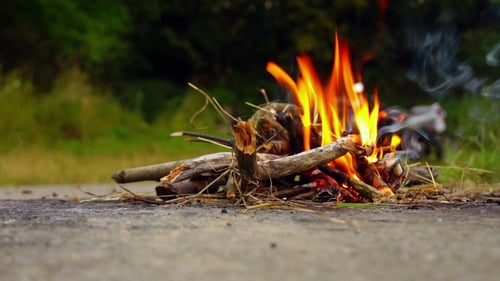 Campfire Burns With Bright Orange Flames