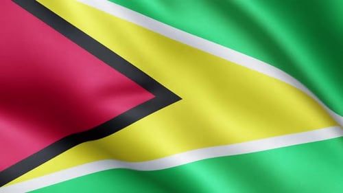 Guyana Flag Realistic Waving Loop Animation